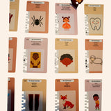 PACK DOUBLE COLLECTION - pack collection + conversation
